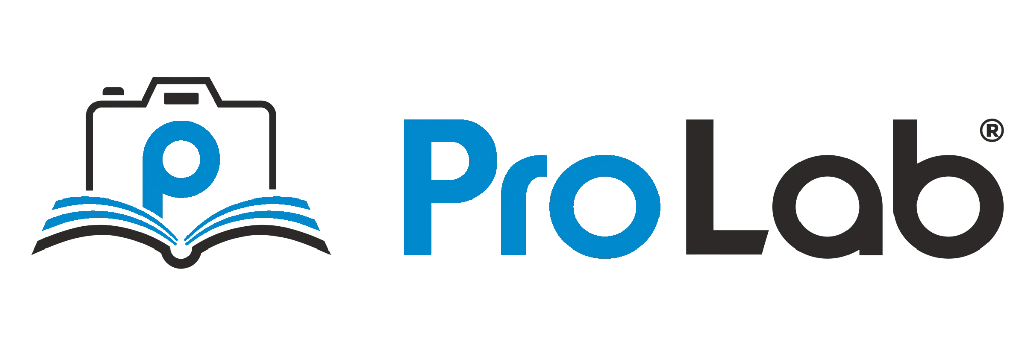 Pro Lab Logo